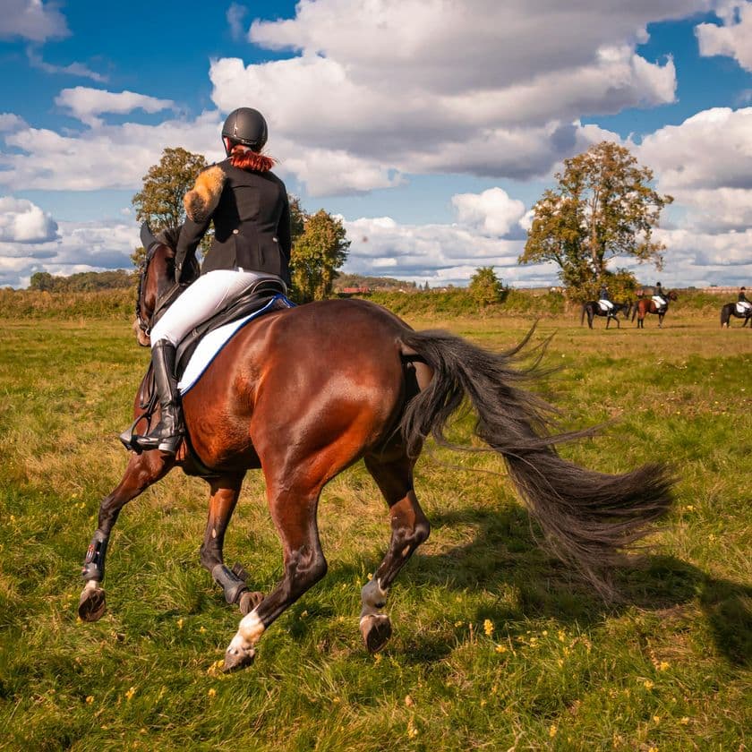Equestrian riding a brown horse galloping across a grassy field, under a blue sky with fluffy clouds. Other riders in the background.