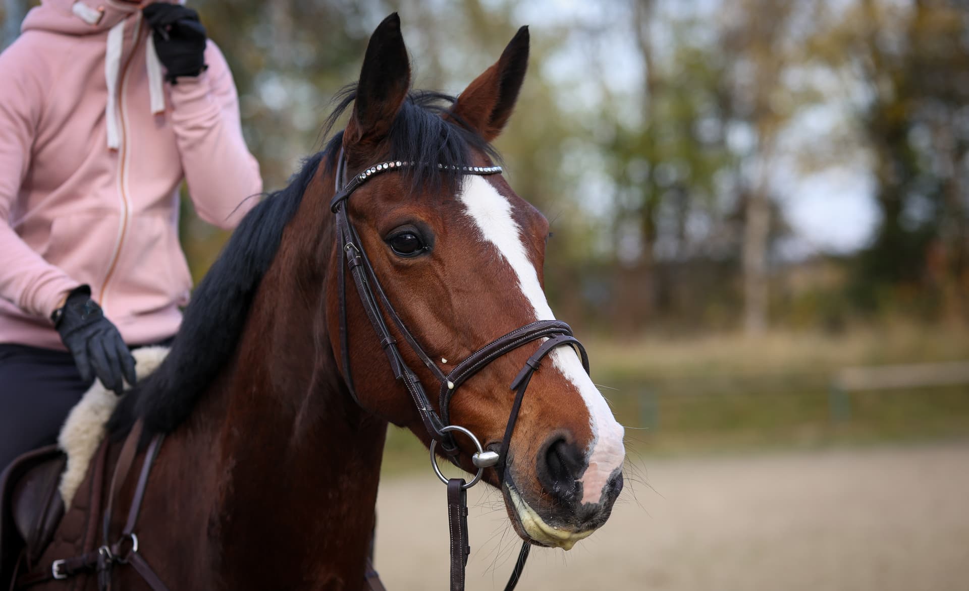 Woman in pink hoodie riding a horse