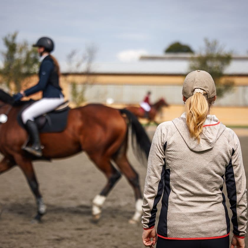 Horse with a woman watching
