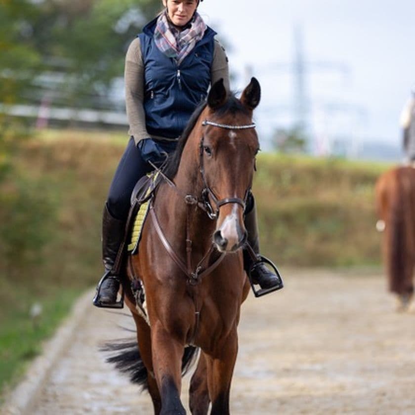 Person riding a brown horse on a dirt path, wearing a scarf and helmet, with another rider in the background.